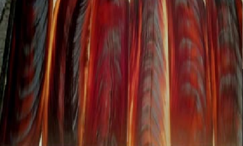 Buffalo Horn Plates